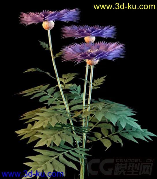 一束紫色的小花模型的图片2