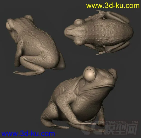 一只青蛙仔~模型的图片1