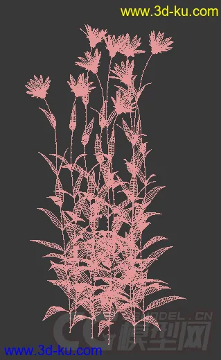 长花苞的多花向日葵模型的图片1
