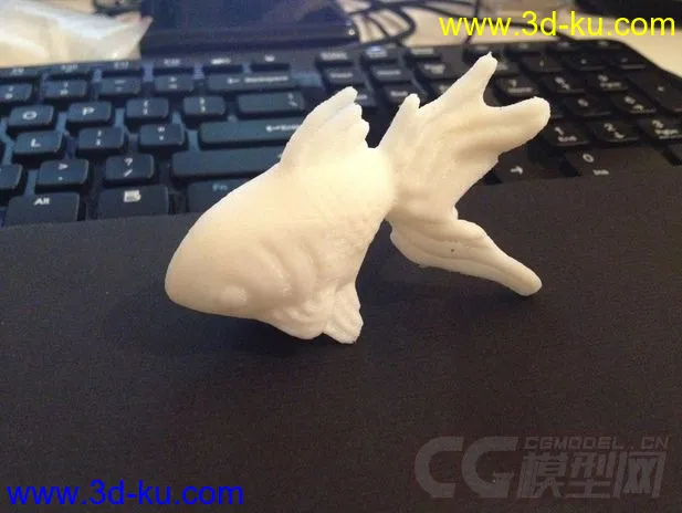 大金鱼 3D打印模型 STL格式的图片2