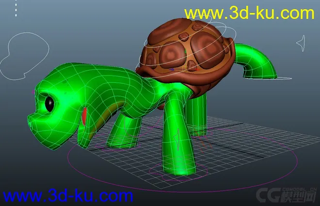 Turtle 乌龟模型的图片8