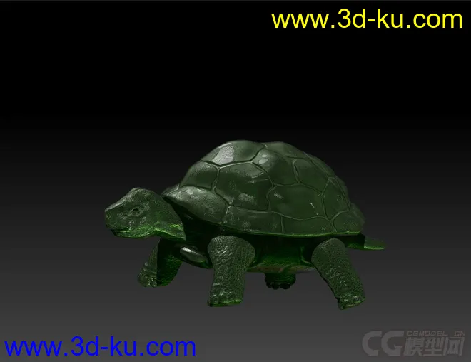 写实乌龟模型的图片3