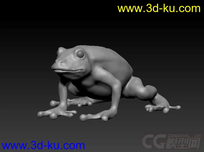 青蛙模型的图片1