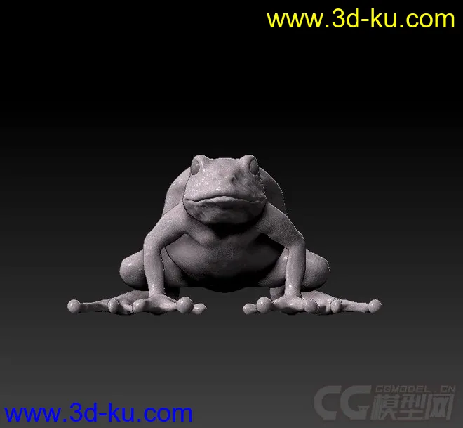 青蛙模型的图片3