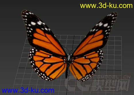 一只漂亮的蝴蝶模型的图片2