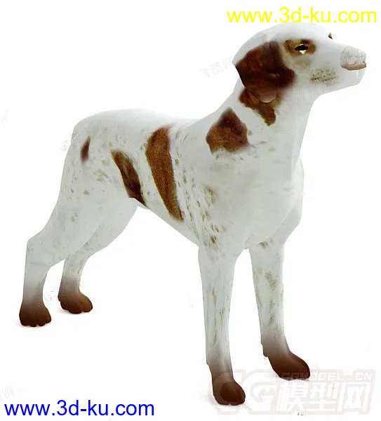 一只斑点狗模型的图片1