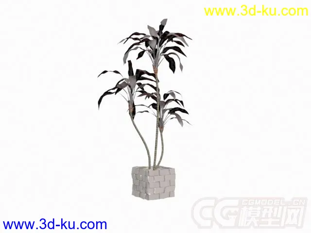 盆景植物6种模型的图片3