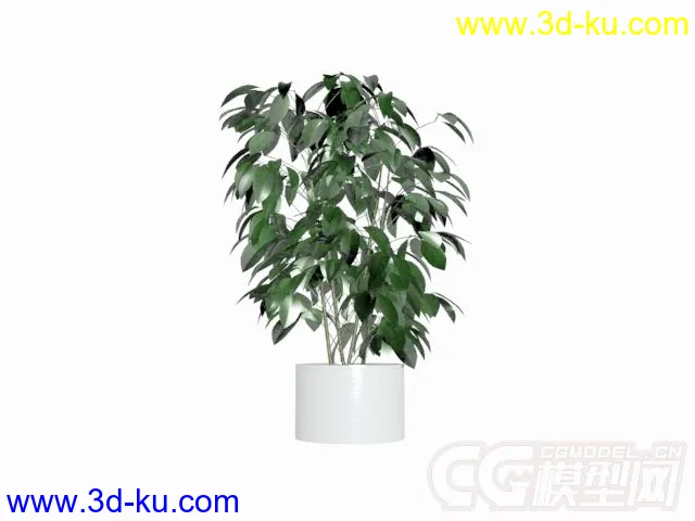 盆栽植物模型的图片1