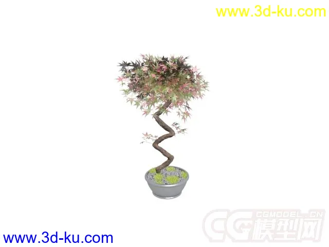 单个盆栽植物模型的图片1