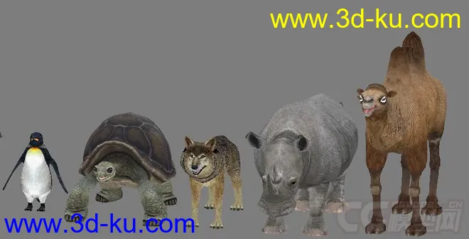 【ZOO动物园】全套共70个动物模型+贴图 企鹅 乌龟 狮子 鸵鸟 猩猩 骆驼 大象等的图片7