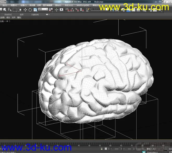人脑模型的图片1