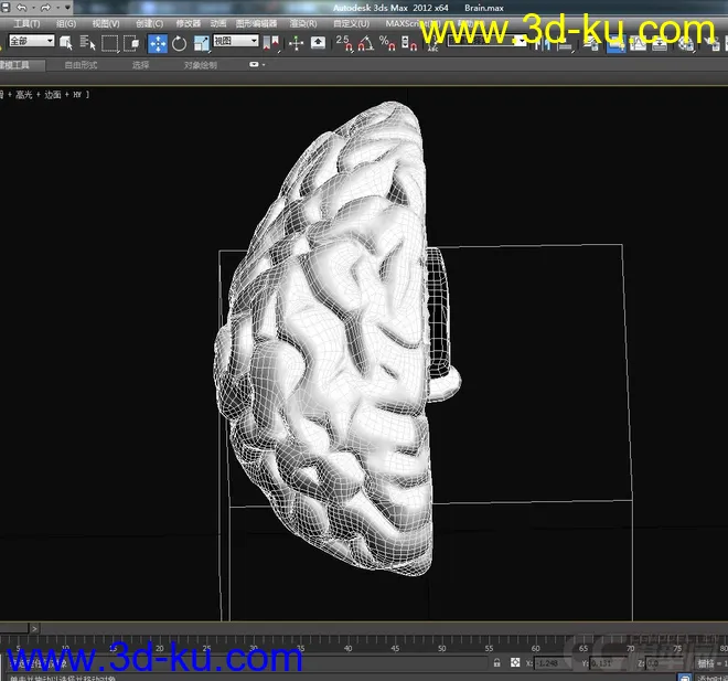 人脑模型的图片2