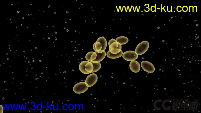 细胞 酵母模型的图片1