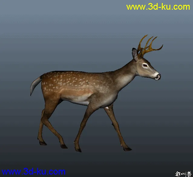 写实小鹿和霸王龙，自己做的绑定与动画模型的图片2