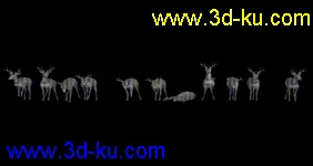 梅花鹿的多种绑定模型的图片1