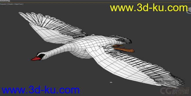 天鹅-精细模型-飞行-有动画的图片3