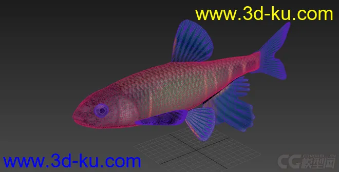 鱼模型的图片8