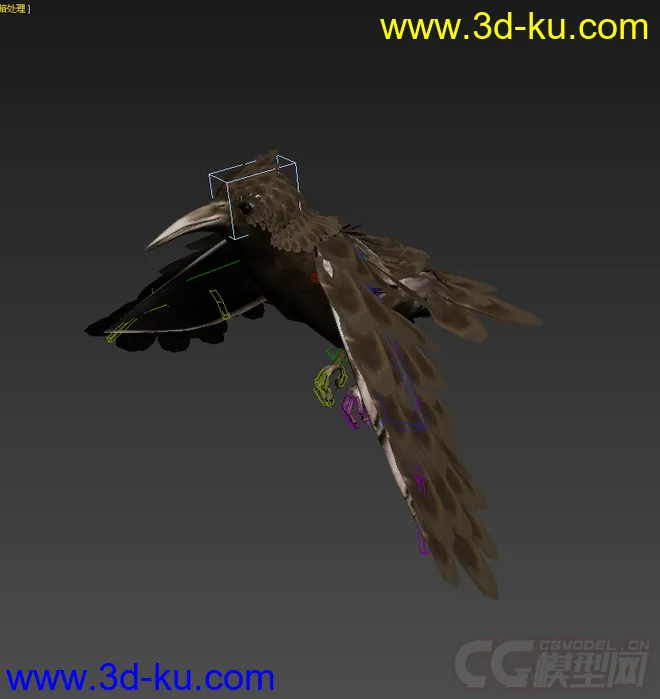 乌鸦，带绑定动画，免费模型的图片5