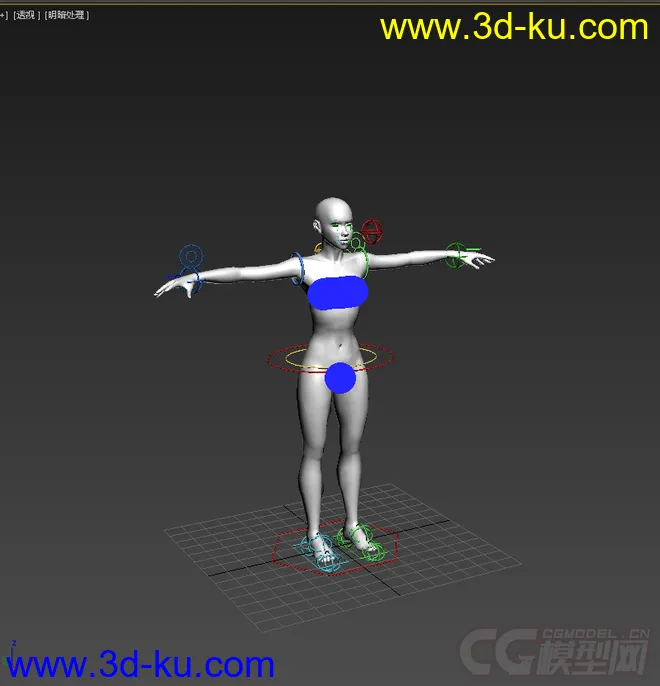 女人体，带绑定动画模型的图片1