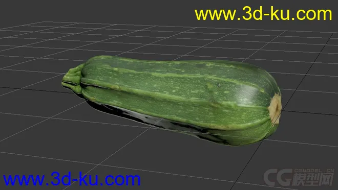 西葫芦 Zucchini模型的图片1