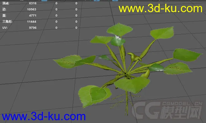 3D植物花草模型——菱角（果实未熟状态）的图片1