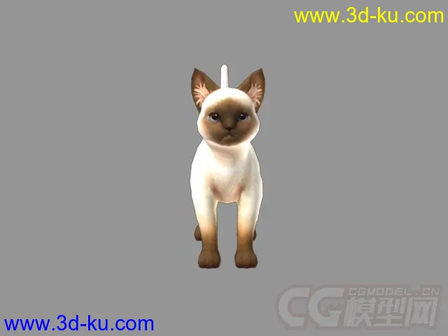 暹罗猫模型的图片2