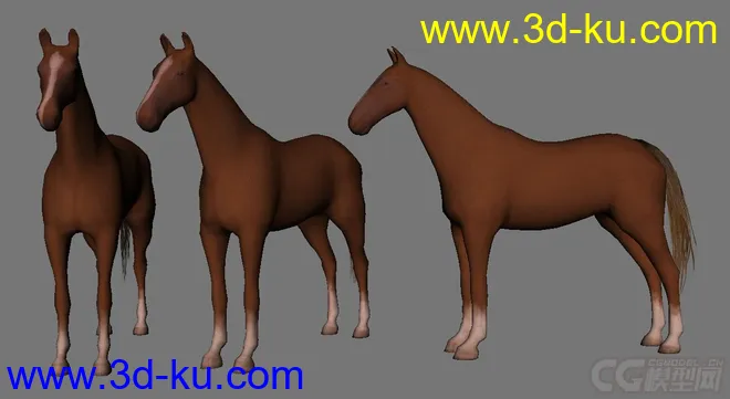 马模型的图片2