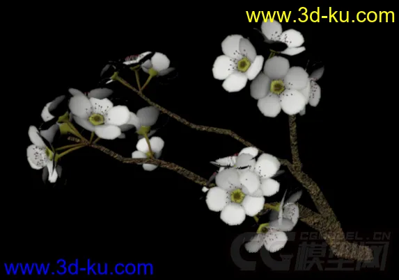 花草植物模型——梨树（附带梨花枝）的图片1