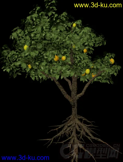 花草植物模型——梨树（附带梨花枝）的图片3