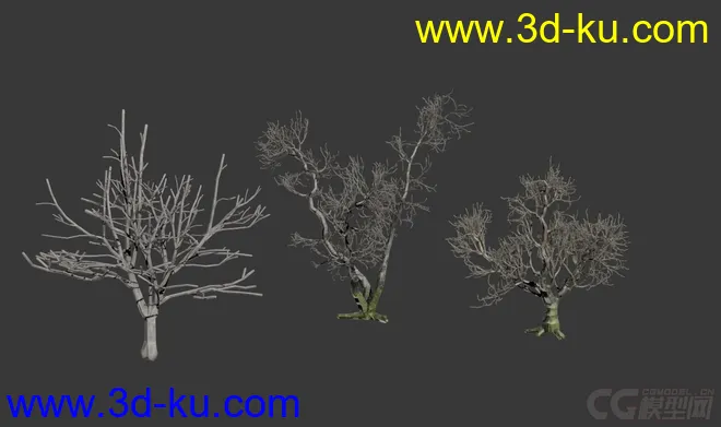 枯树 枯木模型的图片1