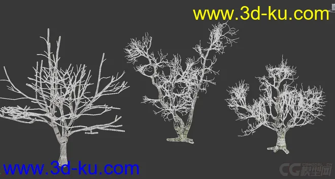 枯树 枯木模型的图片2