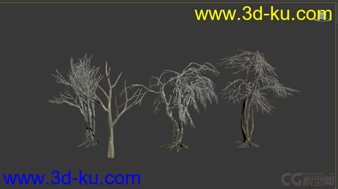 枯树 枯木模型的图片1