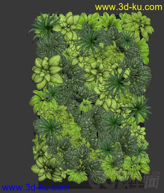 植物-多肉-盆栽模型的图片3