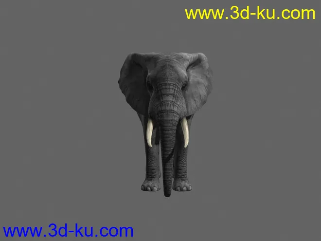 大象，影视动画模型，带绑定，带动画的图片2