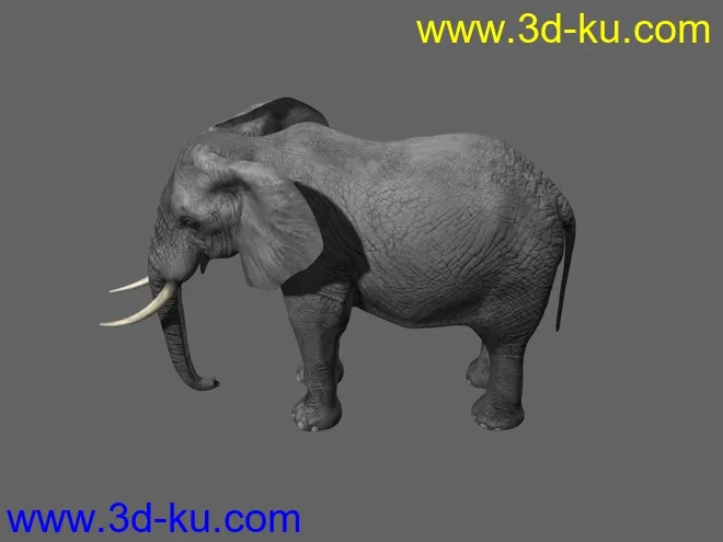 大象，影视动画模型，带绑定，带动画的图片3