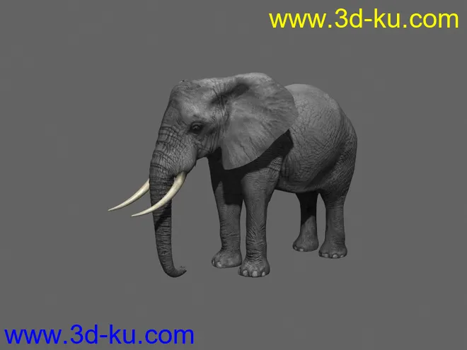 大象，影视动画模型，带绑定，带动画的图片4