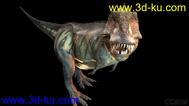 雷克萨斯暴龙，恐龙，远古爬行类，怪兽，史前动物，写实恐龙，模型的图片3