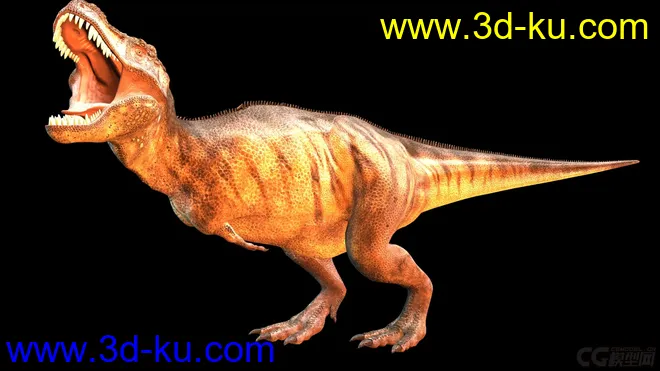 雷克萨斯暴龙，恐龙，远古爬行类，怪兽，史前动物，写实恐龙，模型的图片4