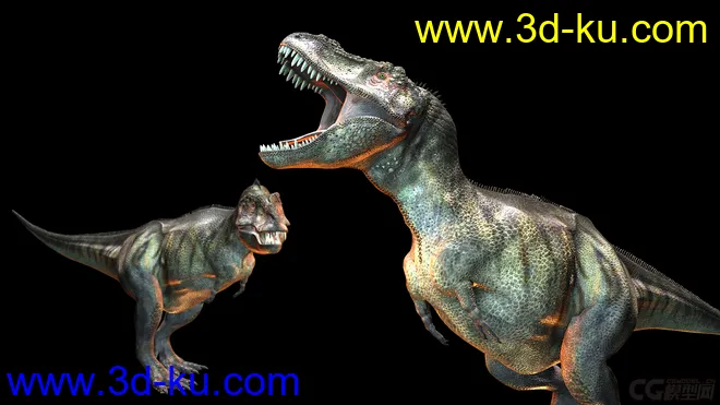 雷克萨斯暴龙，恐龙，远古爬行类，怪兽，史前动物，写实恐龙，模型的图片6
