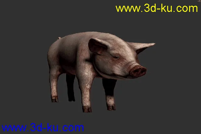 猪-带动画模型的图片3