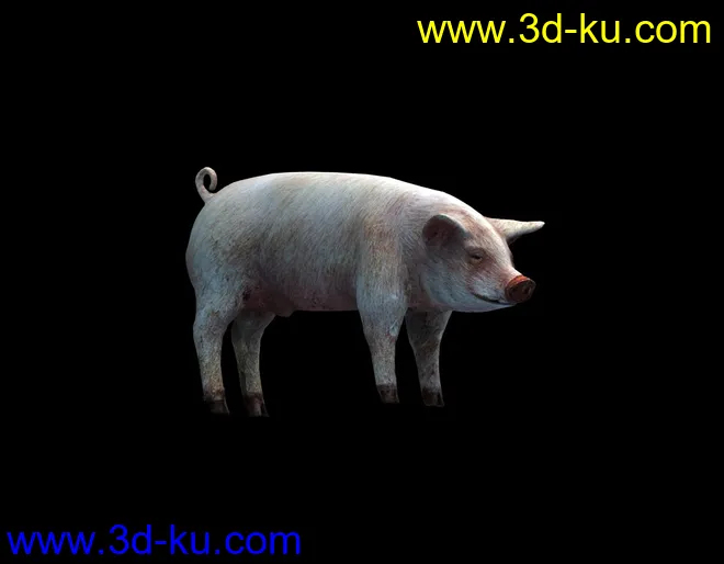 猪-带动画模型的图片4