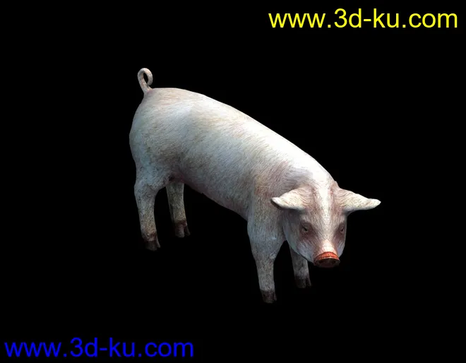 猪-带动画模型的图片5