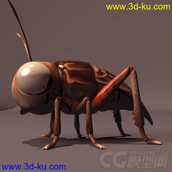 小昆虫，带绑定模型的图片4