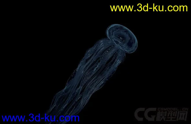 c4d水母   jellyfish模型的图片1