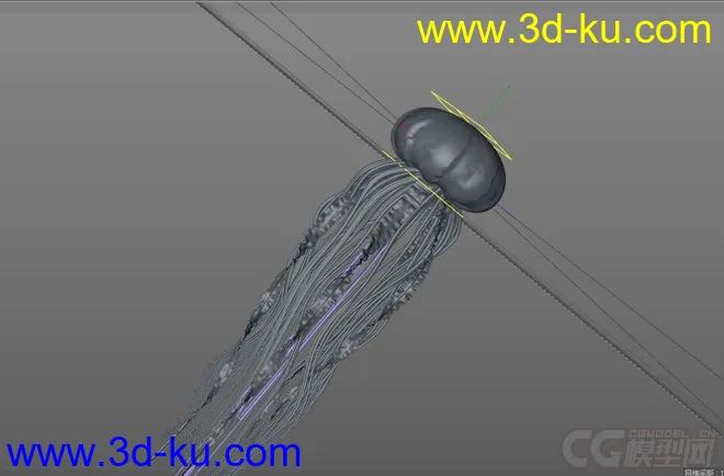 c4d水母   jellyfish模型的图片2