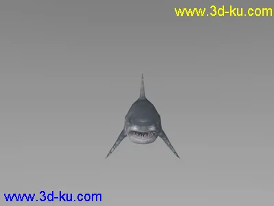 鲨鱼 c4d模型 带绑定动画的图片2