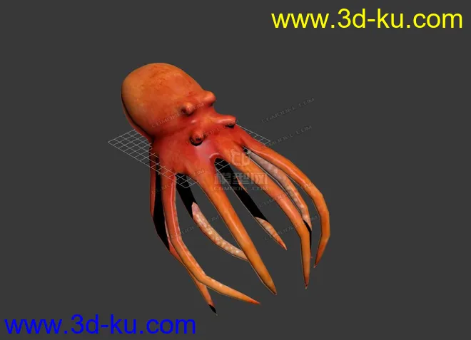 章鱼 Octopus模型的图片1