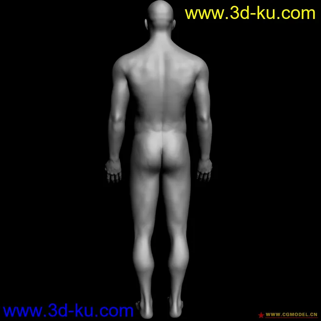 精致的男人体模型的图片1