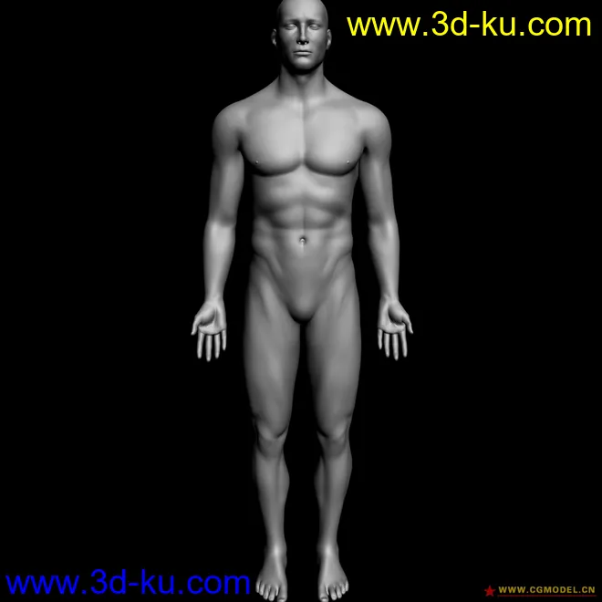 精致的男人体模型的图片3