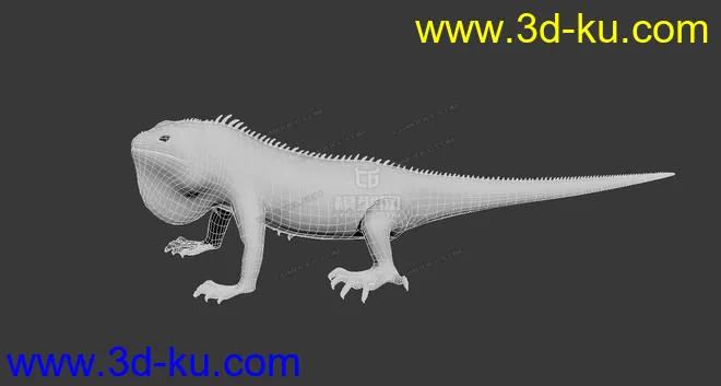 绿鬣蜥 粗模  蜥蜴 粗模 雕刻可用模型的图片2